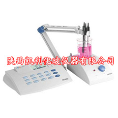 PXSJ-216型離子計